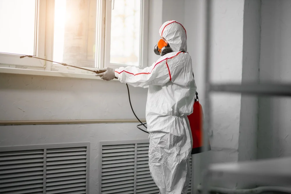 Professional mold remediation services in Sturgeon Bay, WI